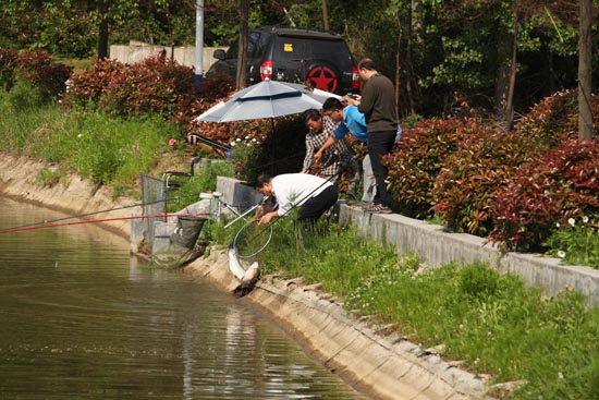 迎“五一”钓鱼活动1.jpg 迎“五一”钓鱼活动1.jpg