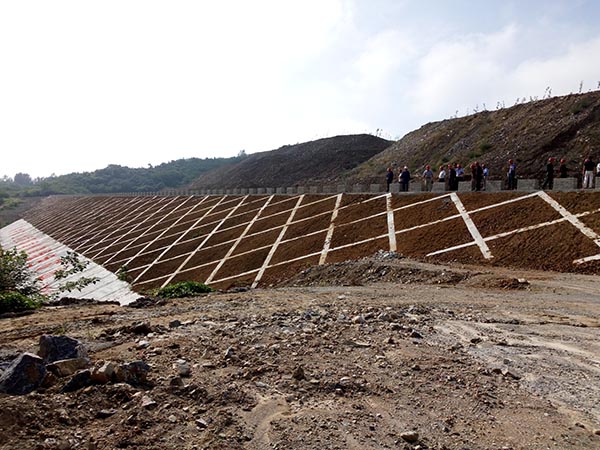 天瑞集团光山水泥灰岩矿矿山地质环境治理.jpg