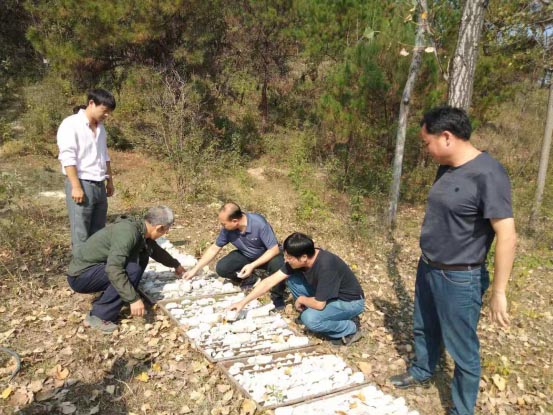 总队领导到地勘院邢集项目检查慰问1.jpg